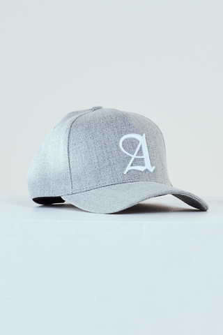 Reign 3D Embroidered Logo Snapback - Grey